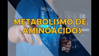 METABOLISMO DE AMINOÁCIDOS [upl. by Calie]