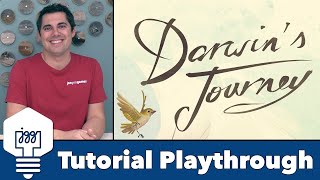 Darwins Journey  Tutorial amp Playthrough [upl. by Burkley]