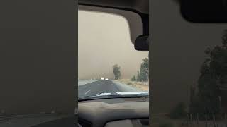 Dust Storm  Delano Earlimart amp Pixley Ca shorts california sandstorm [upl. by Lertnahs314]