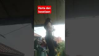 Dangdut rampak harta dan kesetiaan   Cover miss Rima Kp jasinga bogor Jawa Barat [upl. by Eedrahc]