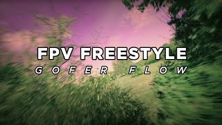 FPV Freestyle  TheGoferFlow [upl. by Aibat]