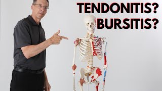 What is Causing Your Shoulder Pain Tendonitis Bursitis How to Know [upl. by Alroy969]