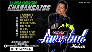 Mega Mix De CharangasOrgano Juventud Mixteco 2022 Lo Mejor De Lo MejorCharangazos De Lujo [upl. by Hild477]