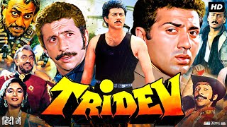 Tridev Full Movie 1989  Sunny Deol  Naseeruddin Shah  Jackie Shroff  Sonam Rai  Review amp Facts [upl. by Ahsilla]