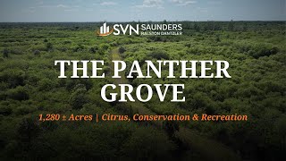 Citrus Grove amp Recreational Land For Sale  The Panther Grove  1280 Acres  Immokalee Florida [upl. by Ire]