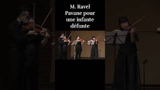 【Intro 】M Ravel  亡き王女のためのパヴァーヌ （弦楽合奏版） Pavane pour une infante défunte for string orchestra [upl. by Liederman935]