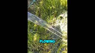 Laminar Water Flow shortsfeed shorts water [upl. by Shult656]