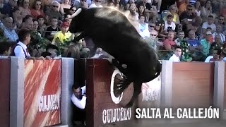 Guijuelo 2023 El Toro Salta al Callejón [upl. by Adnof]