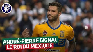 Mexique  La folie Gignac  Décembre 2015 [upl. by Thorbert489]