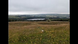 Turton Heights West Pennine Moors Lancashire  14th July 2024 [upl. by Hallam615]