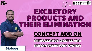 Excretory Products And their Elimination Class 11 NEET  Human Excretory System  Biology [upl. by Hsinam427]