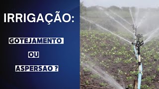 Qual tipo de irrigação é melhor GOTEJAMENTO OU ASPERSÃO [upl. by Telracs690]