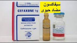 سيفاكسون مضاد حيوى واسع المدى CEFAXONE دواعى الاستعمال [upl. by Enitsenre]