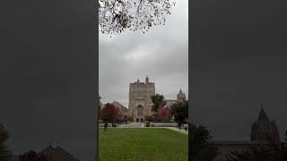 Autumn Season at Yale University 🍂 [upl. by Oinotna]