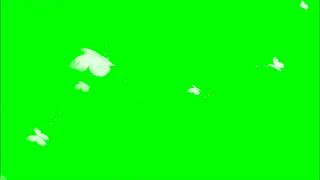 🦋🌻Borboletas Voando em Green Screen Buterfly white Green Screen Buterfly Chroma key 🦋❣ [upl. by Nomma]