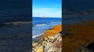 Nahant Beach 🏝️ Massachusetts virelshot usabeach nahantbeach lovebeach boston [upl. by Lewin462]