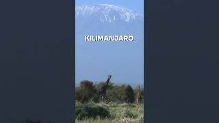 Climb the highest mountain in Africa  Kilimanjaro  Magical Africa [upl. by Amre]