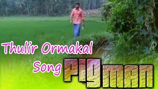 Pigman Malayalam Movie  Songs  Thulir Ormakal Song  Jayasurya  Ramya Nambeesan [upl. by Acillegna619]