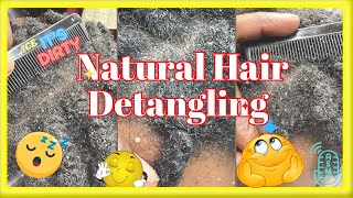 ASMR Detangling Natural Hair  Scalp Check amp Scratch scalpscratch realpersonasmr subscribe [upl. by Neil]