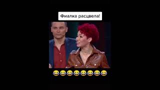 Фиалка расцвела 😆 Игра [upl. by Neelyak799]