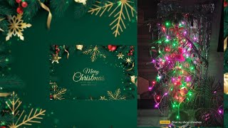 Araucaria plant careChristmas Tree Decorate with Me christmas christmastree christmasdecor [upl. by Lichtenfeld]