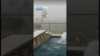 Cow runs as hail pelts Texas back yard [upl. by Alyehs]