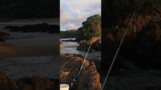 Rock fishing 🎣 fishing fishingadventures rockfishing [upl. by Asilat482]