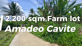 Nov381 Amadeo cavite residential farm lot 2200 sqm with fruit bearing trees peaceful community [upl. by Edee]