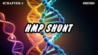 Chapter 2  Metabolism Of Carbohydrates Part11  HMP Shunt [upl. by Romola14]