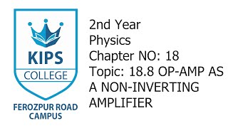 OPAMP as a Non Inverting Amplifier  2nd Year Physics  Chapter No 18 [upl. by Leahcam561]