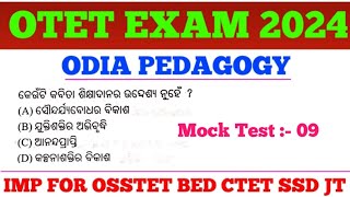 Target OTET Exam 2024  Odia Grammar MCQs  OSSTET CTET SSD JT TGT Exam  cine tv odisha [upl. by Vittoria]