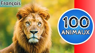 100 Animaux Relaxants  Noms et Sons à Découvrir pour Enfants  🐾 [upl. by Amik]