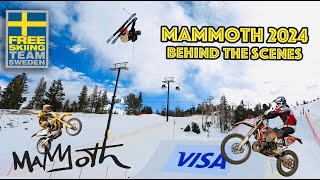 FREESKI SWE  MAMMOTH 2024 [upl. by Benyamin]