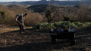 8 Rebuilding our terraced garden [upl. by Velma]