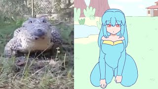 cute croc videos but its animated [upl. by Atiekal]