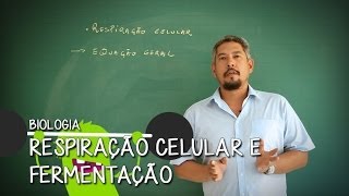 O que é Mitocôndria  Extensivo Biologia  Descomplica [upl. by Tahp129]