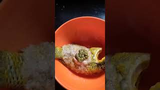 Tilapia macher fry recipe  সুস্বাদু তেলাপিয়া মাছ ভাজা cooking ytshorts viral video [upl. by Annahsad180]