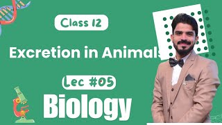 Excretion in Animals  Homeostasis  Chapter 15  Biology Class 12  Lecture05 [upl. by Hemphill692]