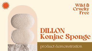 DILLON Konjac Sponge Review amp Demo  Wild amp Cruelty Free Vegan amp Cruelty Free Skincare [upl. by Isaac]