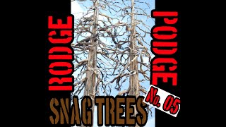 Snag Trees with HEAT RodgePodgeNo5 [upl. by Dott89]