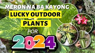 TOP 8 LUCKY OUTDOOR PLANTS FOR 2024 [upl. by Fruma624]