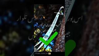 Zulfikar Talwar Status Hazrat Ali Ka Talwar short imamhussai hazratali shortfeed [upl. by Call943]