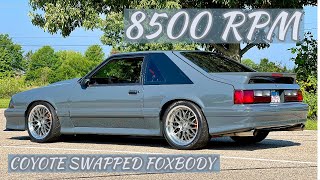 530WHP Naturally Aspirated Coyote Swapped Foxbody Mustang [upl. by Ariamat]