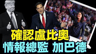 情商過高！川普很會堅守承諾 ⋯ 又知人善用（11 13 24）川普 特朗普 馬斯克 比特幣 [upl. by Lulu927]