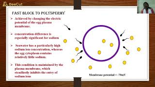 Block to polyspermy [upl. by Roice]