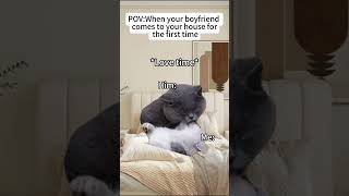 When your boyfriend comes to your house for the first timecat catmemes boyfriendmemes gf fyp [upl. by Clarkson]