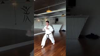 Basic Shukokai karate combinations [upl. by Dhruv228]