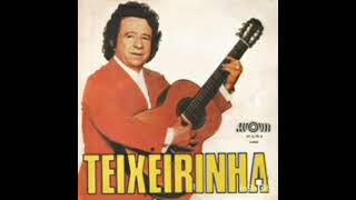 teixeirinha querencia amada [upl. by Anital]