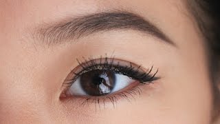 Natural Eyebrow Tutorial  ShifraSays [upl. by Arad743]