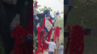 Shyama Maa Tara Maa Joy Joy Maa Kali Maa I Akassh I Shyama Sangeet I [upl. by Kimball]